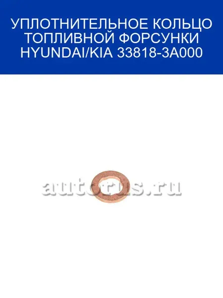 Hyundai/Kia УПЛОТНИТЕЛЬНОЕ КОЛЬЦО ТОПЛИВНОЙ ФОРСУНКИ 33818-3