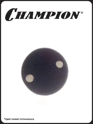 Фильтр воздушный для опрыскивателя CHAMPION PS242