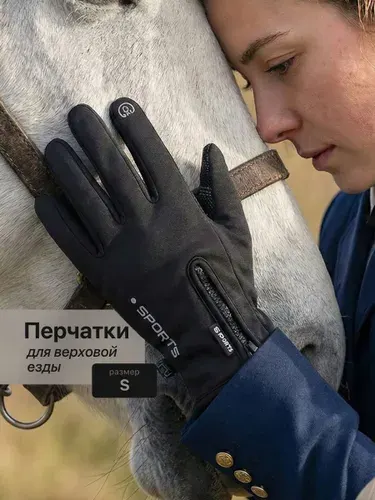 Перчатки спортивные утепленные сенсорные для верховой езды Shark Fit, черные, размер S