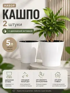 Горшок для цветов большой , 2 шт , 5 л