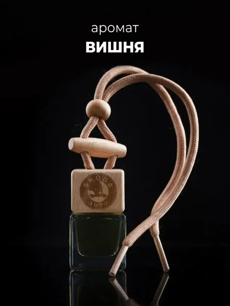 AUTO PARTS STORE Автомобильный ароматизатор Skoda - Вишня ECLIPSE