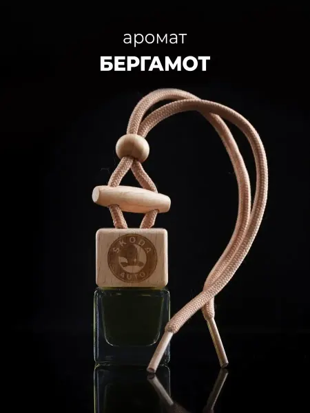 AUTO PARTS STORE Автомобильный ароматизатор Skoda - Бергамот