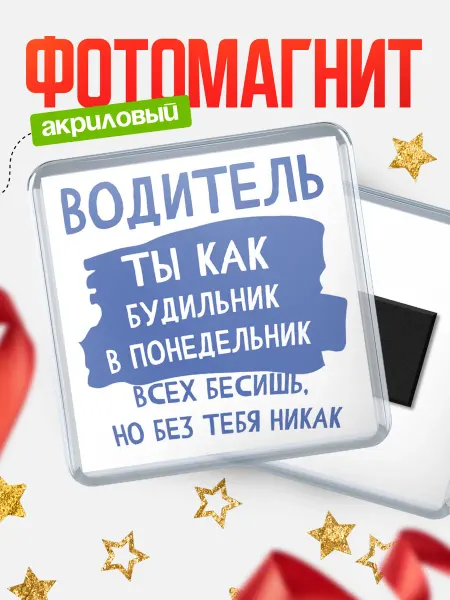КлассныеШтучки Магнит водитель всех бесишь!