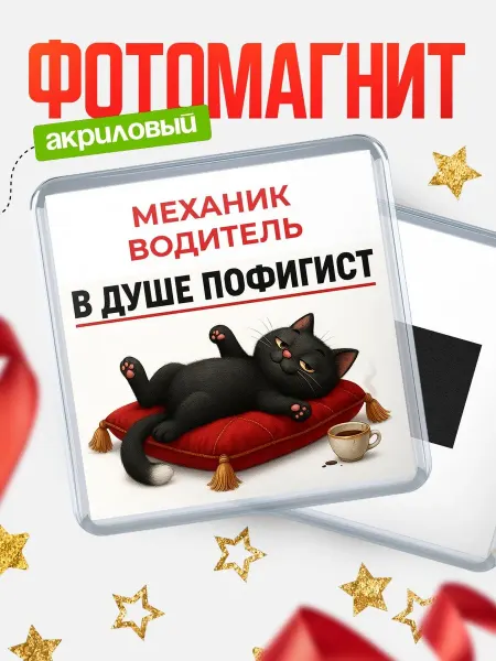 КлассныеШтучки Магнит чёрный кот пофигист подарок Механик водитель
