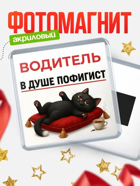 КлассныеШтучки Магнит чёрный кот пофигист подарок Водитель