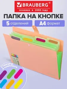 Папка для документов А4 канцелярская на кнопке, органайзер для бумаг 5 отделений для офиса и школы, персиковая с мятным, Brauberg Extra