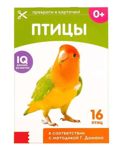 Буква-Ленд Обучающая книжка по методике Домана. Насекомые (16 карточек)