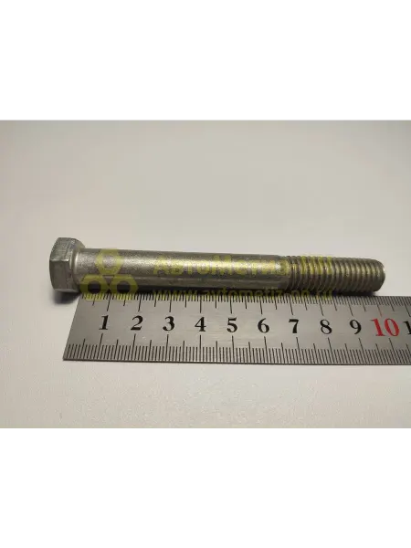 КРАСНАЯ ЭТНА Болт М12х1,75х100 10 шт