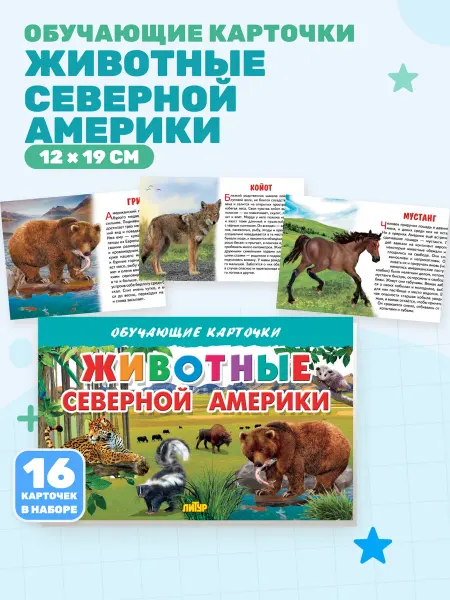 Животные Северной Америки (Обучающие карточки)