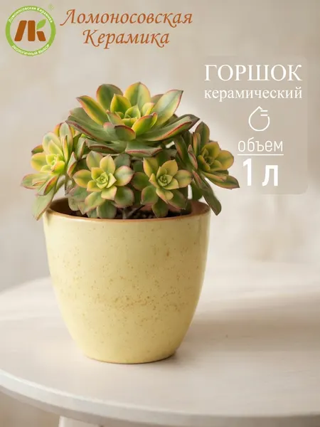 Горшок цветочный Ломоносовская керамика "ColorLife", керамика, d14 см, h12,5 см, 1 л