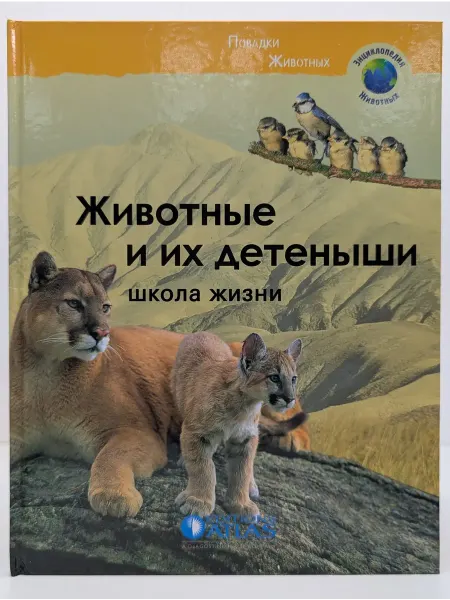 БУКИТИР Энциклопедия животных. Животные и их детеныши. Школа жизни