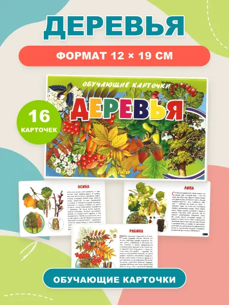 ЛитУр Обучающие карточки Деревья, 16 штук