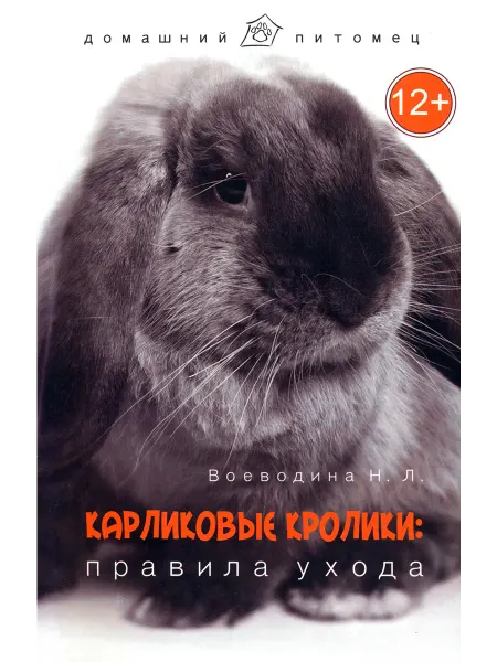 Феникс Карликовые кролики. Правила ухода