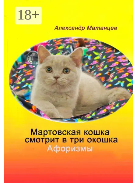 Мартовская кошка смотрит в три окошка
