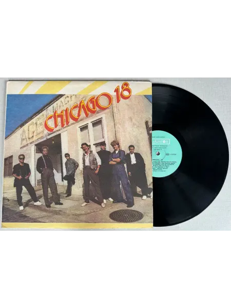 Vinyl Record Store Виниловая пластинка Chicago 18