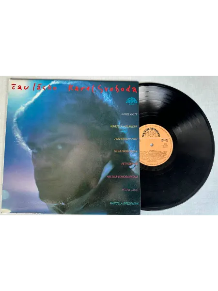 Vinyl Record Store Виниловая пластинка Karel Svoboda