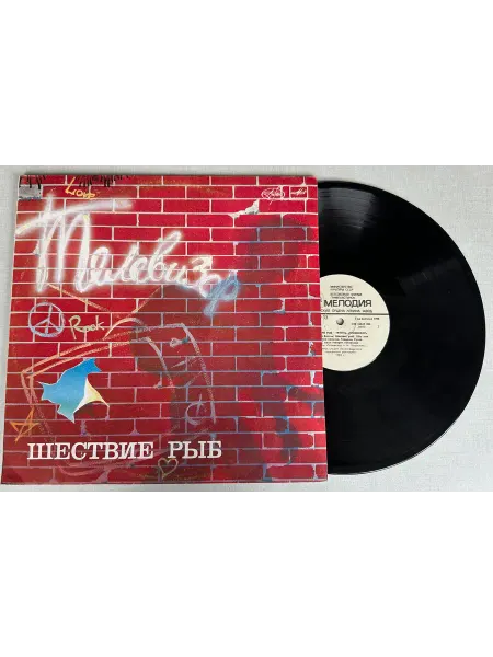 Vinyl Record Store Виниловая пластинка Телевизор Шествие рыб
