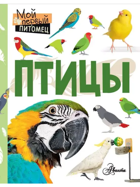Аванта Птицы