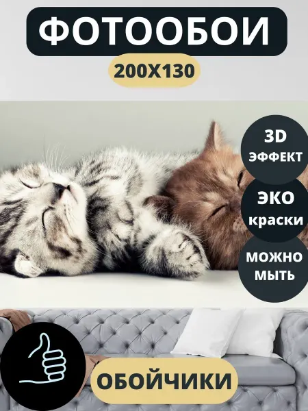 Обойчики Фотообои Животные Котята в спальню детскую кухню 200х130