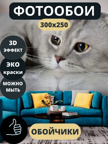 Обойчики Фотообои Кот Животные в прихожую спальню кухню 300х250