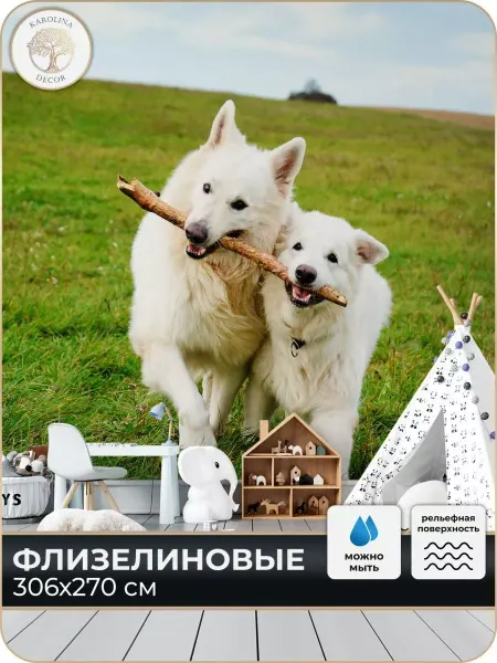 Каролина Декор Фотообои Собаки в детскую в спальню на кухню 300х270