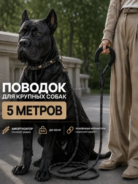 LAVPaw Поводок для собак нейлоновый светоотражающий 5 м