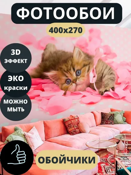 Обойчики Фотообои Животные Котенок в прихожую спальню детскую 400х270