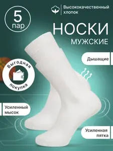 Носки MIOPREMIO мужские Эко, 5 пар