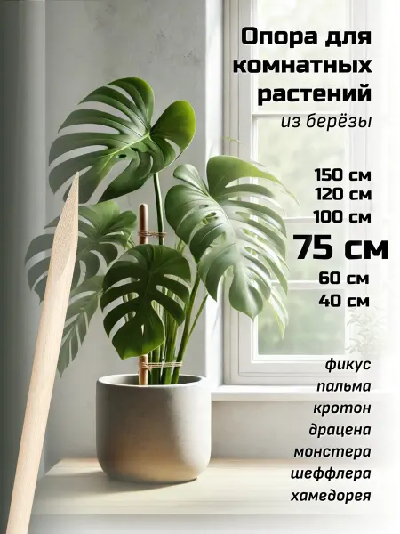 Woodforma Опора для комнатных растений 75 см, берёза