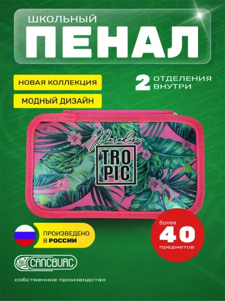 Cancburg Пенал школьный, 2 отделения, эффект металл