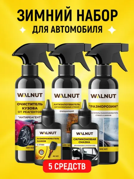 WALNUT Зимний набор для автомобиля, 5 средств