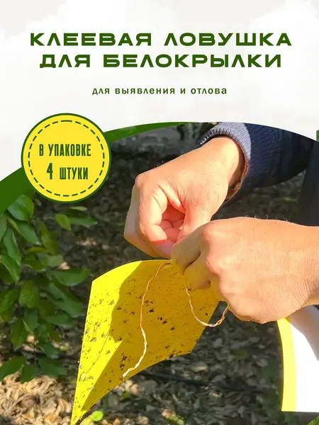 Ловушка клеевая для выявления и отлова белокрылки, против насекомых, 4 шт