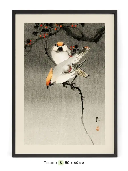 NIPPON PRINTS Постер богемские свиристели Укие-э 50 x 40 см в тубе