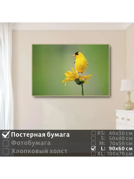 ПолиЦентр Постер на стену "Птичка желтая сидит на цветке" 90х60 см