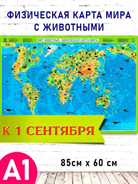 DaDuNya Плакат А1 Животные на карте Земли