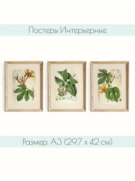 Wall Print Story Постеры на стену Винтажные цветы А3