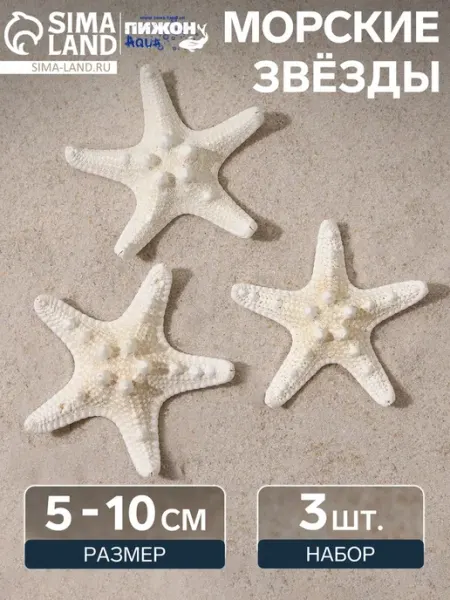 Пижон Аква Белые морские звезды для аквариумов и террариумов 5-10 см