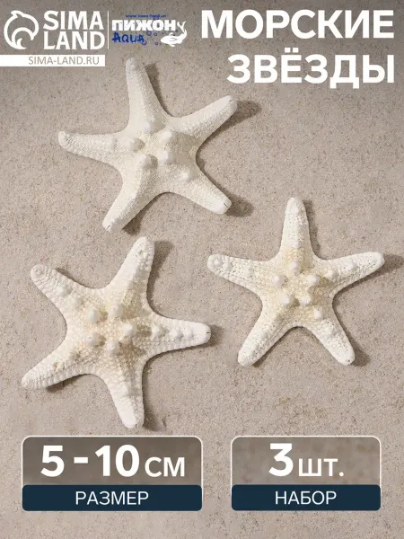 Нет бренда Белые морские звезды для аквариума 5-10 см