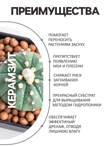 Сопутствующие товары Дренаж Керамзит «Рецепты Дедушки Никиты» фр 5-10, Грунты