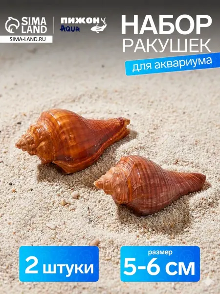 Лавка Декоративная ракушка для аквариума 5-6 см