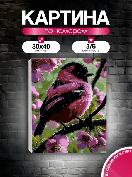 PictureBoom Картина по номерам 30x40 Птичка