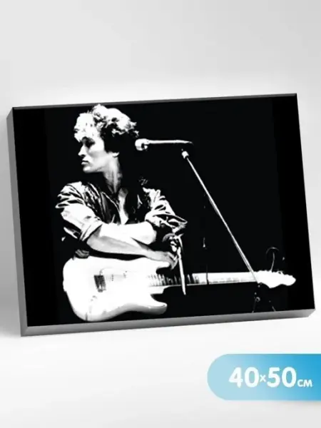 MOLLY Картина по номерам на холсте 40x50 см
