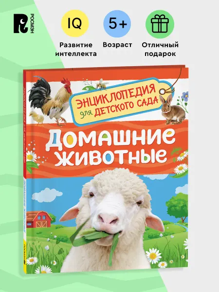 РОСМЭН Домашние животные. Энциклопедия для детского сада 5+