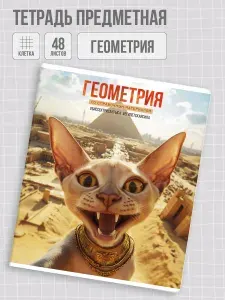 Тетрадь предметная "СЕЛФИ" Геометрия А5+ в мягком переплёте на скобе 48 л в клетку