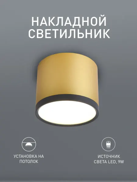 FAVOURITE Накладной светодиодный потолочный светильник 3082-2C