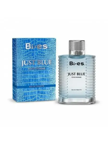 Bi-es Туалетная вода для мужчин JUST BLUE, 100 мл