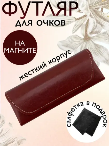 ZAONE Футляр для очков узкий жесткий на магните