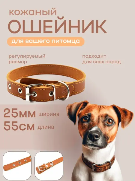 Ошейник 25мм (кожа) неукр (кор ) Длина 55см