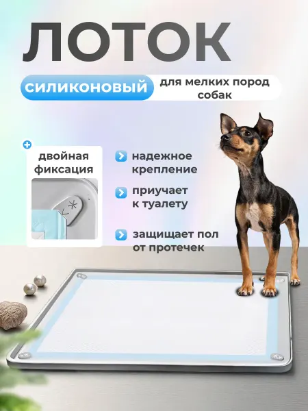 Green_Tiger Лоток для собак под пеленку силиконовый 60*40 см
