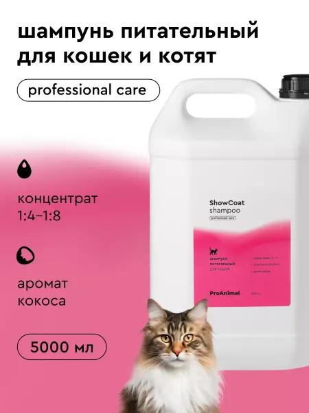 Pamilee Шампунь для кошек Groom for Cats ShowCoat, 5 литров